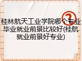 桂林航天工业学院哪个专业毕业就业前景比较好(桂航就业前景好专业)