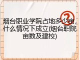 烟台职业学院占地多少亩，什么情况下成立(烟台职院亩数及建校)