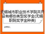 无锡城市职业技术学院共开设有哪些类型奖学金(无锡职院奖学金种类)