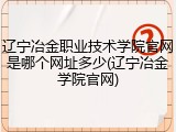 辽宁冶金职业技术学院官网是哪个网址多少(辽宁冶金学院官网)