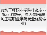 潍坊工程职业学院什么专业就业比较好，原因是啥(潍坊工程职业学院就业优势专业)