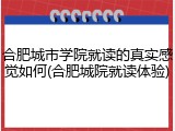 合肥城市学院就读的真实感觉如何(合肥城院就读体验)