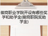 徽商职业学院开设有哪些奖学和助学金(徽商职院奖助学金)