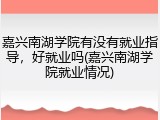 嘉兴南湖学院有没有就业指导，好就业吗(嘉兴南湖学院就业情况)