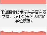 玉溪职业技术学院是否有双学位，为什么(玉溪职院双学位原因)