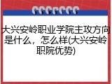 大兴安岭职业学院主攻方向是什么，怎么样(大兴安岭职院优势)