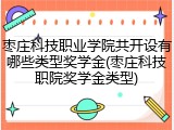 枣庄科技职业学院共开设有哪些类型奖学金(枣庄科技职院奖学金类型)