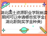 湖北国土资源职业学院就读期间可以申请哪些奖学金(湖北职院奖学金种类)