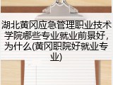 湖北黄冈应急管理职业技术学院哪些专业就业前景好，为什么(黄冈职院好就业专业)