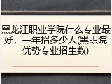 黑龙江职业学院什么专业最好，一年招多少人(黑职院优势专业招生数)