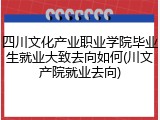 四川文化产业职业学院毕业生就业大致去向如何(川文产院就业去向)