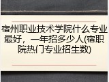 宿州职业技术学院什么专业最好，一年招多少人(宿职院热门专业招生数)