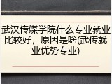 武汉传媒学院什么专业就业比较好，原因是啥(武传就业优势专业)