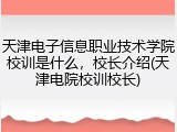 天津电子信息职业技术学院校训是什么，校长介绍(天津电院校训校长)