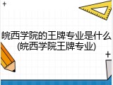 皖西学院的王牌专业是什么(皖西学院王牌专业)