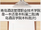 青岛酒店管理职业技术学院是一本还是本科第二批(青岛酒店学院本科批次)