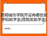 昆明城市学院开设有哪些奖学和助学金(昆院奖助学金)