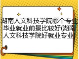 湖南人文科技学院哪个专业毕业就业前景比较好(湖南人文科技学院好就业专业)