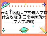 云南中医药大学办理入学有什么攻略没(云南中医药大学入学攻略)