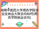 湖南中医药大学湘杏学院毕业生就业大致去向如何(湘杏学院就业去向)