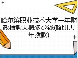哈尔滨职业技术大学一年财政拨款大概多少钱(哈职大年拨款)