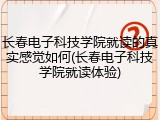 长春电子科技学院就读的真实感觉如何(长春电子科技学院就读体验)
