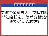 安徽冶金科技职业学院有哪些知名校友，简单分析(安徽冶金职院校友)