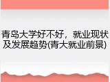 青岛大学好不好，就业现状及发展趋势(青大就业前景)