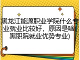 黑龙江能源职业学院什么专业就业比较好，原因是啥(黑职院就业优势专业)