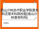 嵩山少林武术职业学院是专科还是本科院校呢(嵩山少林是专科吗)