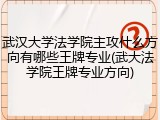 武汉大学法学院主攻什么方向有哪些王牌专业(武大法学院王牌专业方向)