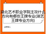 湖北艺术职业学院主攻什么方向有哪些王牌专业(湖艺王牌专业方向)