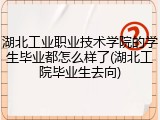 湖北工业职业技术学院的学生毕业都怎么样了(湖北工院毕业生去向)