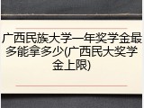 广西民族大学一年奖学金最多能拿多少(广西民大奖学金上限)