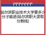 哈尔滨职业技术大学要多少分才能进(哈尔滨职大录取分数线)