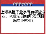 上海震旦职业学院有哪些专业，就业前景如何(震旦职院专业就业)