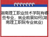 湖南理工职业技术学院有哪些专业，就业前景如何(湖南理工职院专业就业)