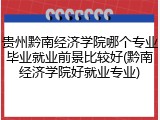 贵州黔南经济学院哪个专业毕业就业前景比较好(黔南经济学院好就业专业)