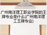 广州南洋理工职业学院的王牌专业是什么(广州南洋理工王牌专业)