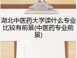 湖北中医药大学读什么专业比较有前景(中医药专业前景)