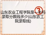 山东农业工程学院是一本吗录取分数线多少(山东农工院录取线)