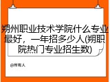 朔州职业技术学院什么专业最好，一年招多少人(朔职院热门专业招生数)