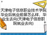 天津电子信息职业技术学院毕业后就业前景怎么样，毕业生去向(天津电子信息职院就业去向)
