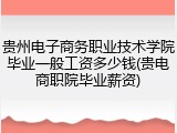 贵州电子商务职业技术学院毕业一般工资多少钱(贵电商职院毕业薪资)