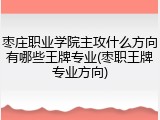 枣庄职业学院主攻什么方向有哪些王牌专业(枣职王牌专业方向)