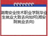 湖南安全技术职业学院毕业生就业大致去向如何(湘安院就业去向)