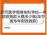 毕节医学高等专科学校一年财政拨款大概多少钱(毕节医专年财政拨款)