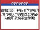 湖南网络工程职业学院就读期间可以申请哪些奖学金(湖南职院奖学金种类)