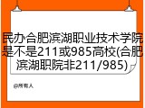 民办合肥滨湖职业技术学院是不是211或985高校(合肥滨湖职院非211/985)