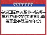安徽国际商务职业学院哪一年成立建校的(安徽国际商务职业学院建校年份)